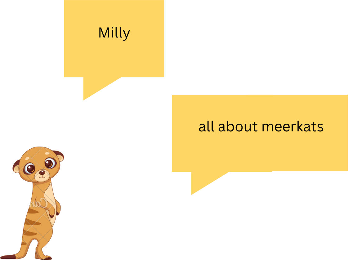 All about meerkats image